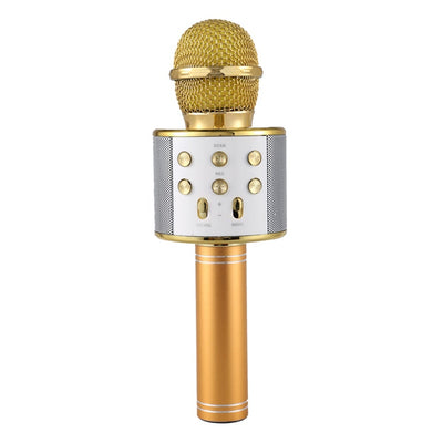 Portable Wireless Karaoke Microphone - Kiddie Cutie Store